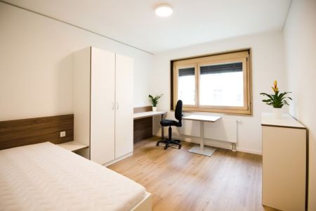 1-Zimmer-Apartment (1).jpg